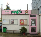 Le Sapin de Kiwizz